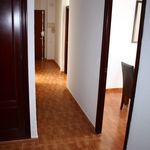 Rent 3 bedroom apartment of 130 m² in Cádiz