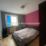 Rent 2 bedroom apartment of 43 m² in Bydgoszcz, Wzgórze Wolności
