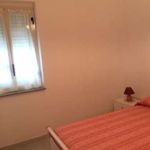 Rent 3 bedroom apartment of 70 m² in Piraino