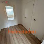 Rent 3 bedroom apartment of 52 m² in Ostrava