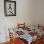 Rent 2 bedroom apartment of 65 m² in Torrevieja