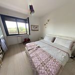 Rent 2 bedroom apartment of 75 m² in Rozzano