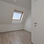Huur 3 slaapkamer appartement van 143 m² in Ronse