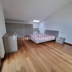 Rent 4 bedroom house of 250 m² in Pescara