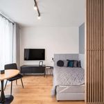Rent 1 bedroom apartment of 27 m² in Łódź