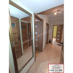 Rent 3 bedroom apartment of 61 m² in Konin