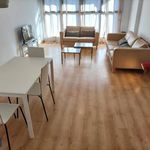 Rent 3 bedroom apartment in Calatayud