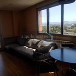 Rent 2 bedroom apartment of 80 m² in Viguera