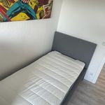 Miete 3 Schlafzimmer haus von 75 m² in Monheim am Rhein