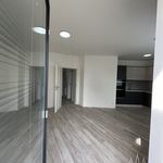Rent 1 bedroom apartment of 33 m² in Kutná Hora