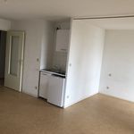 Rent 1 bedroom apartment of 34 m² in Toulouse
