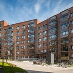 Rent 1 bedroom apartment of 39 m² in Turku