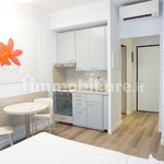 Rent 1 bedroom apartment of 25 m² in San Donato Milanese