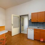 Rent 3 bedroom apartment in Plzeň
