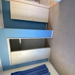 Rent 1 bedroom house in Tauranga