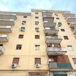 Affitto 3 camera appartamento di 80 m² in Palermo