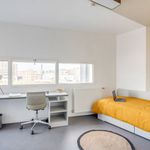 Appartement de 18 m² avec 1 chambre(s) en location à Palaiseau