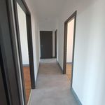 Rent 4 bedroom apartment of 72 m² in Nancy