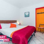 Rent 2 bedroom apartment of 80 m² in Torino