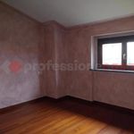 Rent 1 bedroom house of 250 m² in Arezzo