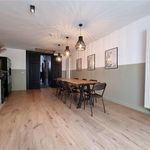 Rent 1 bedroom apartment of 400 m² in Tournai