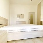 Rent 1 bedroom apartment in Falciano del Massico