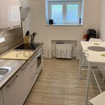 Rent 2 bedroom apartment of 70 m² in Brno