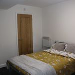 Rent 1 bedroom student apartment of 19 m² in Leicester