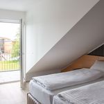 Miete 1 Schlafzimmer wohnung von 22 m² in Bornheim