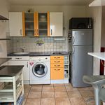 Rent 2 bedroom apartment of 47 m² in Toulouse