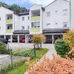 Rent 3 bedroom apartment of 78 m² in Gutenstein