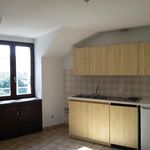 Rent 1 bedroom apartment of 26 m² in Voreppe