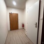 Rent 1 bedroom apartment in Znojmo