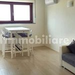 2-room flat via Mario Greppi, Centro, San Donato Milanese