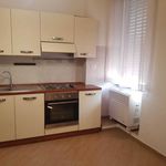 Affitto 4 camera appartamento di 35 m² in Viterbo