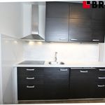 Rent 4 bedroom apartment of 72 m² in Brno