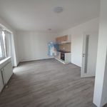 Rent 1 bedroom apartment of 46 m² in Pilsen
