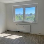 Miete 2 Schlafzimmer wohnung von 41 m² in Limbach-Oberfrohna