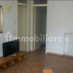 Rent 4 bedroom apartment of 118 m² in Bergamo
