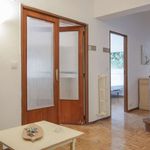 Rent a room of 310 m² in Madrid