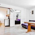 Rent 2 bedroom apartment of 52 m² in Ústí nad Labem