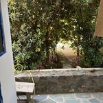 Rent 2 bedroom apartment of 53 m² in Αίγινα