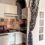 Rent 2 bedroom apartment of 29 m² in Avignon