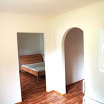 Rent 1 bedroom apartment in Chrudim