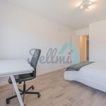 Rent 4 bedroom apartment of 80 m² in Oviedo
