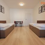 Rent 2 bedroom apartment of 46 m² in Plzeň