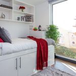 Rent 1 bedroom student apartment in Southampton