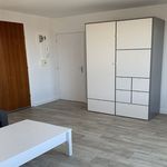 Rent 1 bedroom apartment in Tours