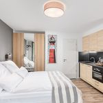 Rent 1 bedroom apartment of 27 m² in Heidelberg