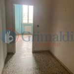 Rent 4 bedroom apartment of 90 m² in Livorno